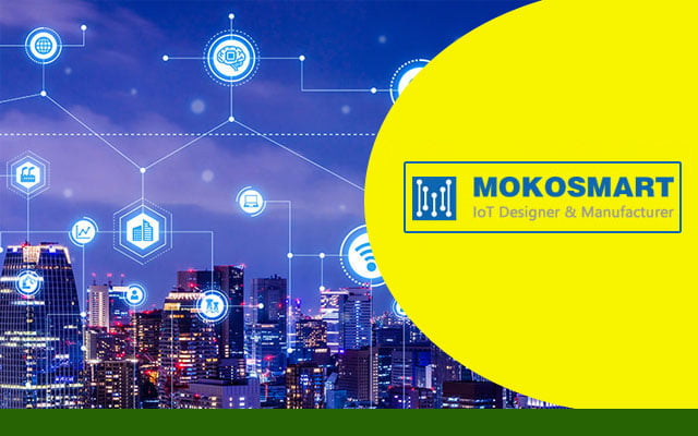 LoRa and LoRaWAN