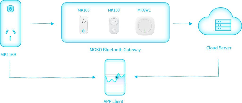 Funkcjonalny schemat blokowy