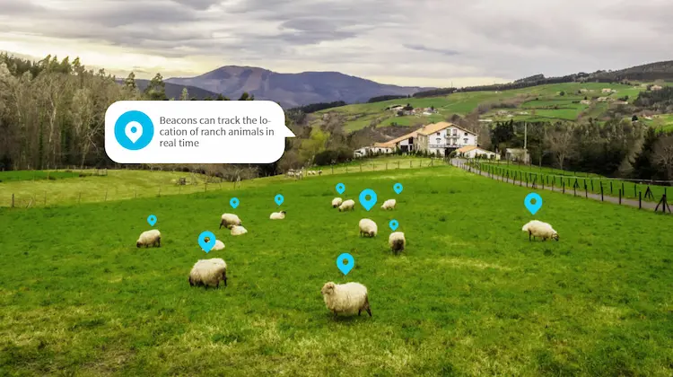 Livestock position tracking - Smart Agriculture IoT System