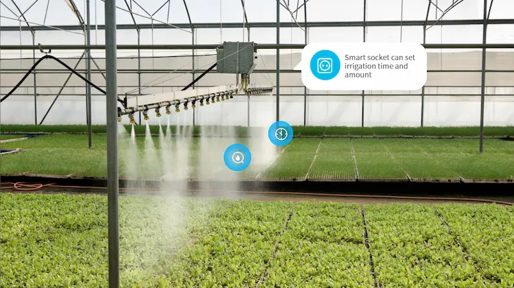 Conservazione delle risorse - Sistema IoT per l'agricoltura intelligente