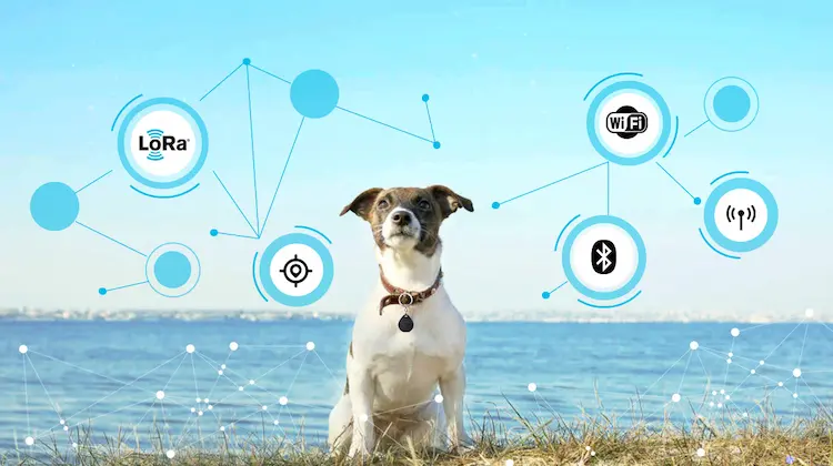 Different techniques of IoT pet tracking systems