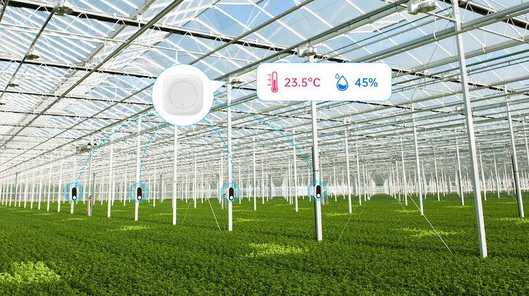 Smart agriculture via sensors and gateway to boost crop yield and reduce wastage