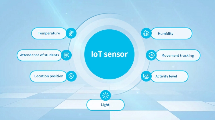 What data do sensors collect