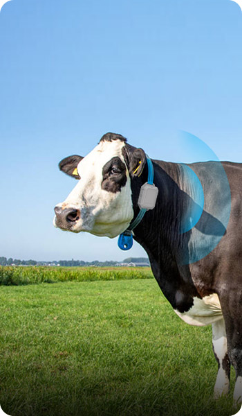 agricoltura