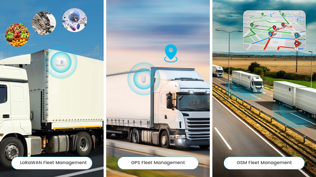 Fleet management finds diverse applications across numerous fields.