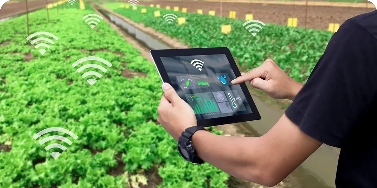 Tablet exibindo dados agrícolas, como temperatura, umidade, etc.