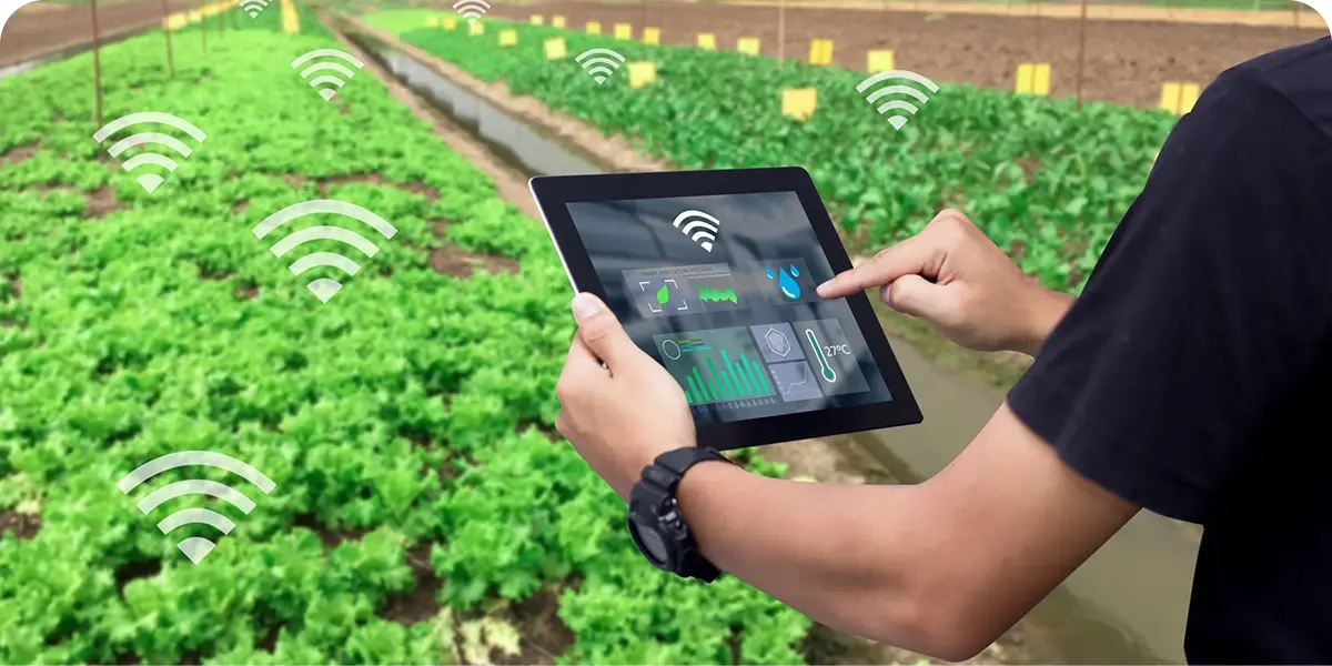 温度などの農業データを表示するタブレット, 水分, 等.