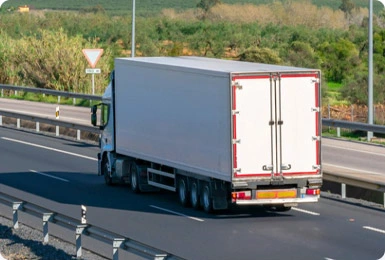 camion bianco sulla strada