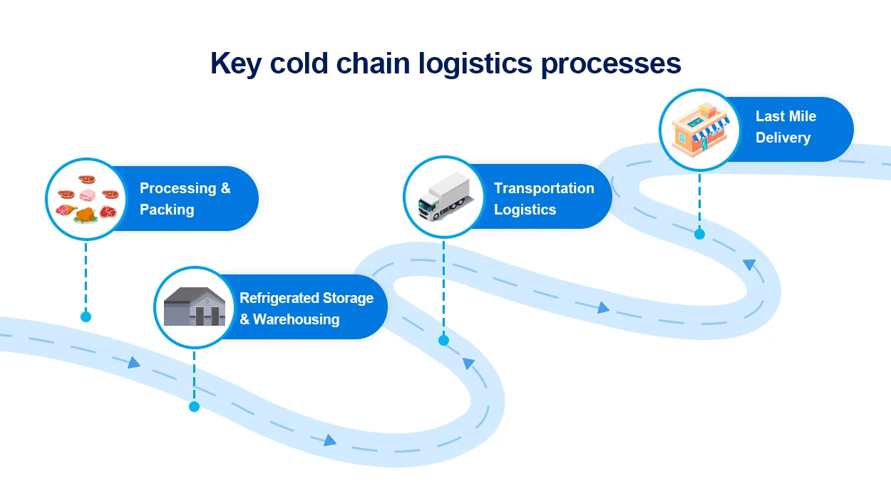 4 principais processos da cadeia de frio