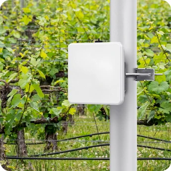 LW003-B Pro installed on a pole in a vineyard for outdoor environmental and asset monitoring in agriculture