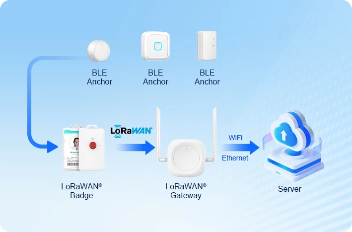 Diagramm zur Veranschaulichung des Scannens von LoRaWAN-Badges mit BLE-Ankern zur raumbezogenen Indoor-Ortung über ein LoRaWAN-Gateway.