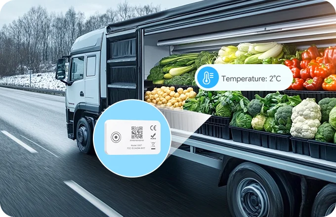 s05t monitor cold chain fresh food